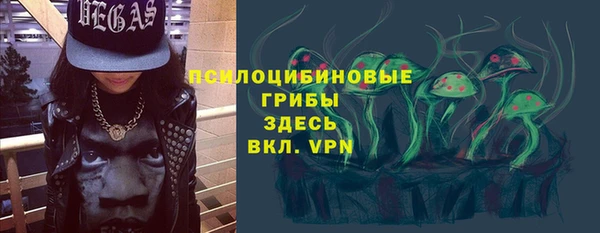 мдпв Бугульма