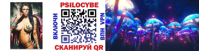 Купить закладки  Киреевск  Псилоцибиновые грибы GOLDEN TEACHER 
